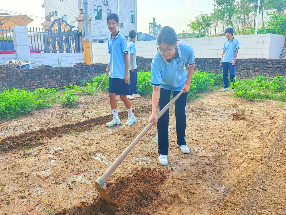 泰安正规青少年全封闭寄宿培育机构联系电话指南